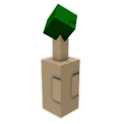 Seed