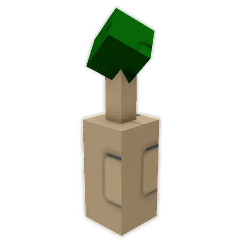 Seed
