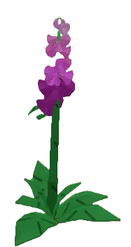 Crop