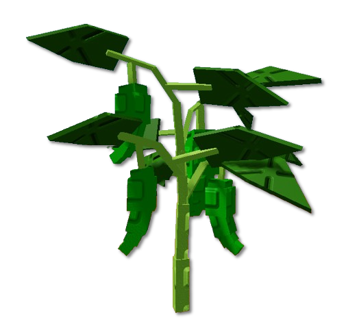 Crop