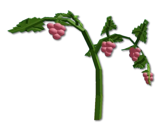 Crop